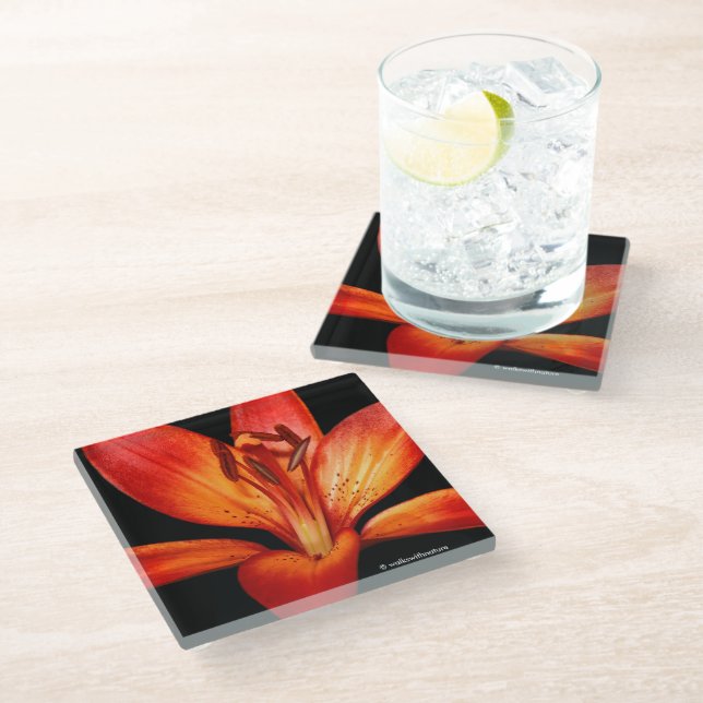 Beautiful Red Orange Asiatic Lily Gran Paradiso Glass Coaster (Angled)