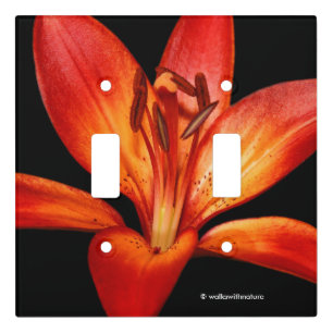 Beautiful Red Orange Asiatic Lily Gran Paradiso Light Switch Cover