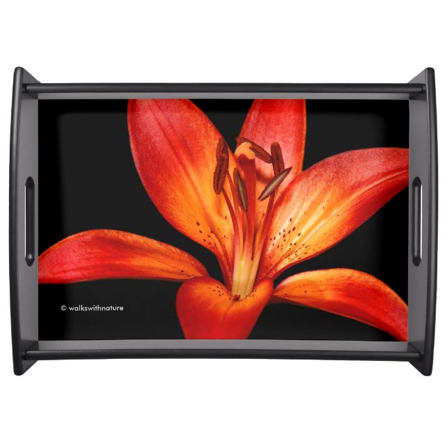 Beautiful Red Orange Asiatic Lily Gran Paradiso Serving Tray (Front)