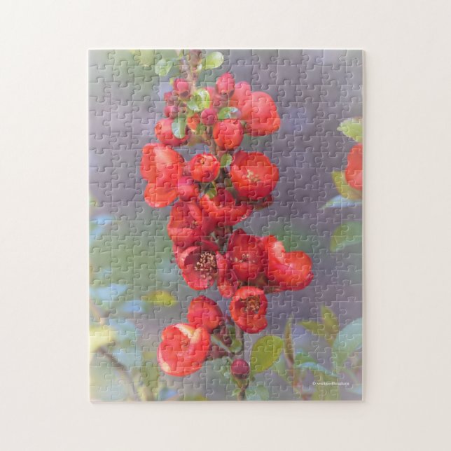 Beautiful Red Orange Quince Flowers Jigsaw Puzzle (Vertical)