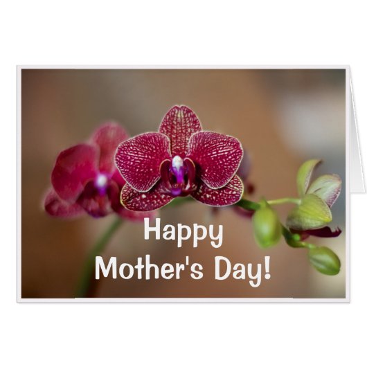 Beautiful Red Orchid Cards (Front Horizontal)