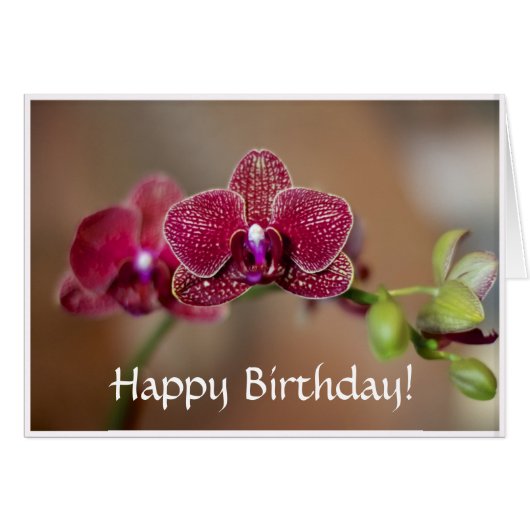 Beautiful Red Orchid Cards (Front Horizontal)