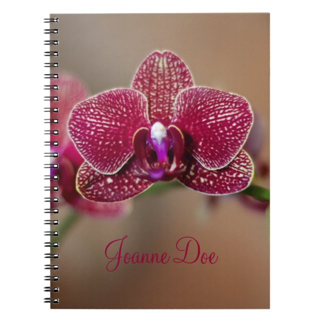 Beautiful Red Orchid Notebook (Front)