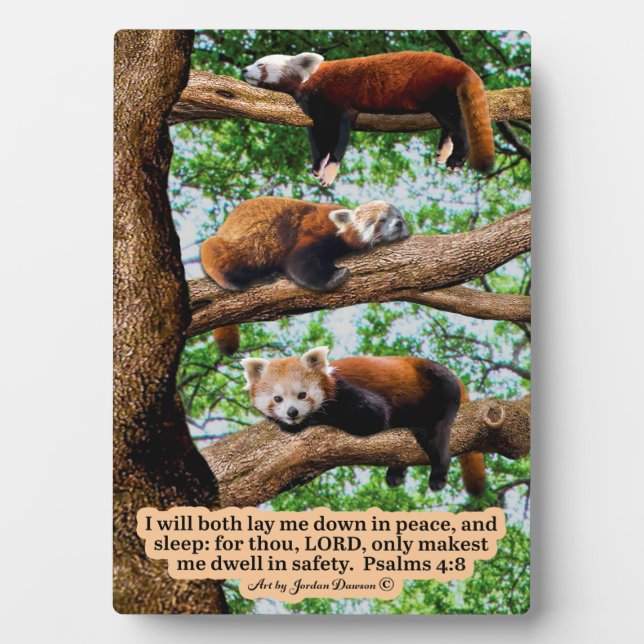 Beautiful Red Panda Scripture  Psalms 4:8 Plaque (Front)