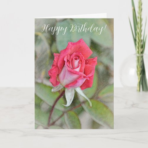 Beautiful Red Pink Rose Birthday Card