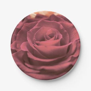 Beautiful red pink roses flowers photo romantic re paper plates
