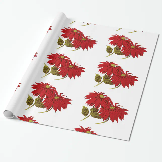 Beautiful Red Poinsettia Drawing Wrapping Paper | Zazzle