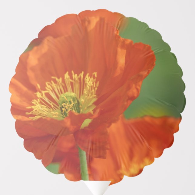 Beautiful Red Poppy Balloon (Front)