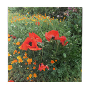 Beautiful Red Poppy   Ceramic Tile