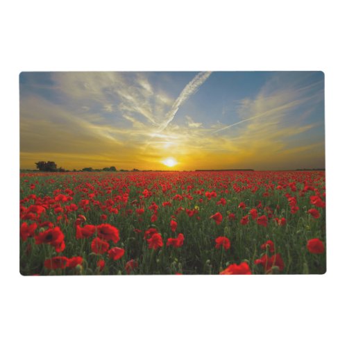 Beautiful Red Poppy Field At Sunrise Photograph Placemat