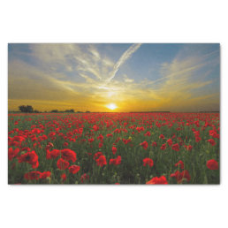Beautiful Red Poppy Field Sunset Photography Tissue Paper