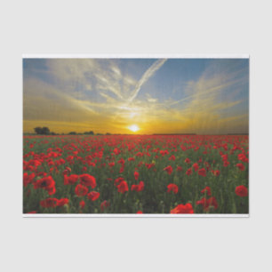 Beautiful Red Poppy Field Sunset Photography Tissue Paper