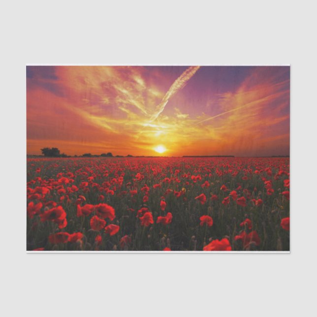 Beautiful red poppy flower field sunset tissue paper (Front)