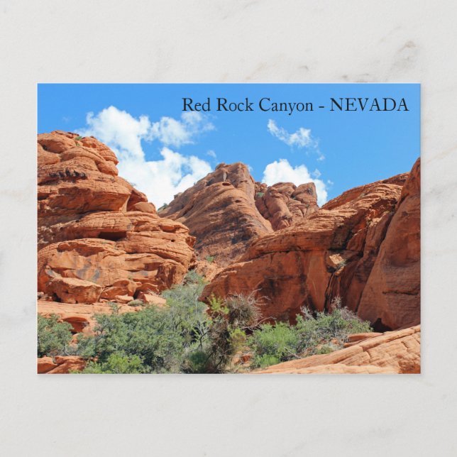 Beautiful Red Rock Canyon Postcard! Postcard (Front)