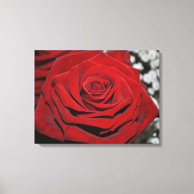 Beautiful Red Rose Canvas Print (Front)