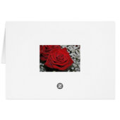 Beautiful Red Rose Cards (Back Horizontal)