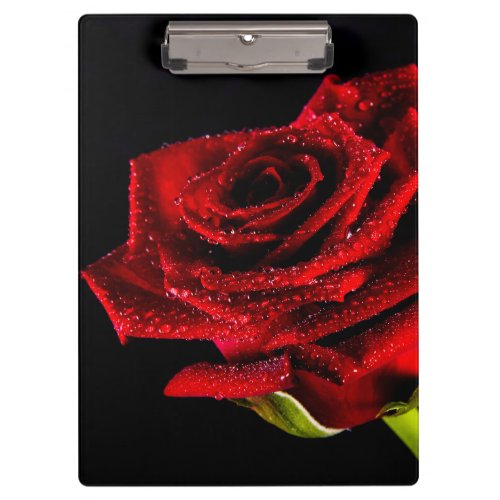 Beautiful red rose clipboard