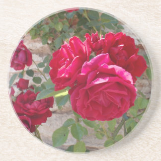 Beautiful Red Rose Drink Coaster
