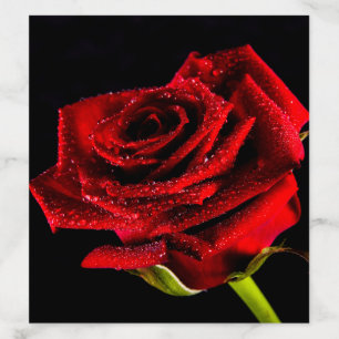 Beautiful red rose envelope liner