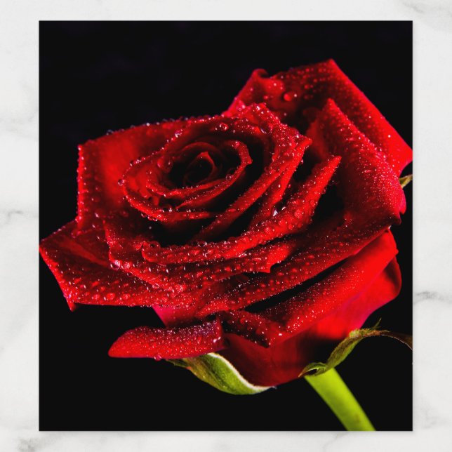 Beautiful red rose envelope liner (Design)