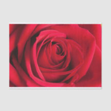 Beautiful Red Rose Flower Tissue Paper