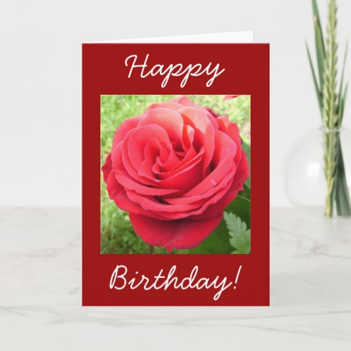 Beautiful Red Rose Happy Birthday Card