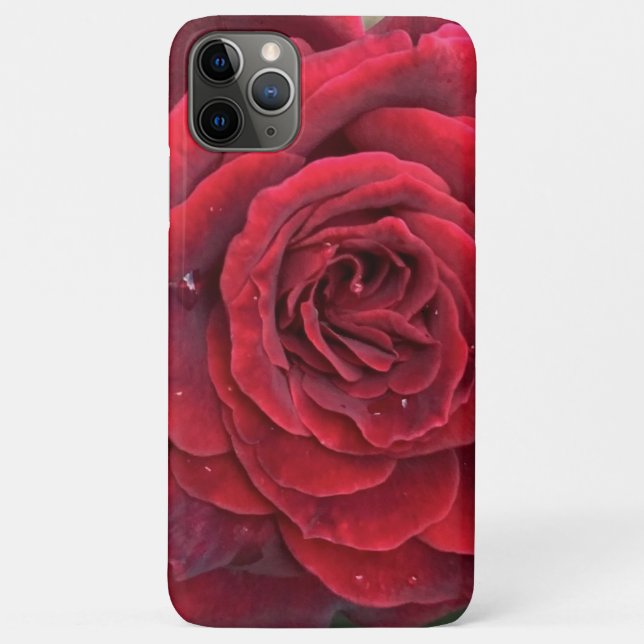 Beautiful red rose iphone 11 Pro Max Barely there Case-Mate iPhone Case (Back)