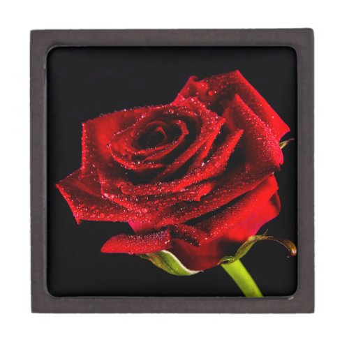 Beautiful red rose jewelry box