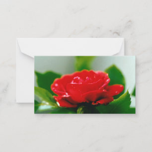 Beautiful Red Rose Morning Dew Drops Note Card
