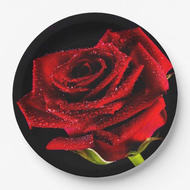 Beautiful red rose paper plates (Front)