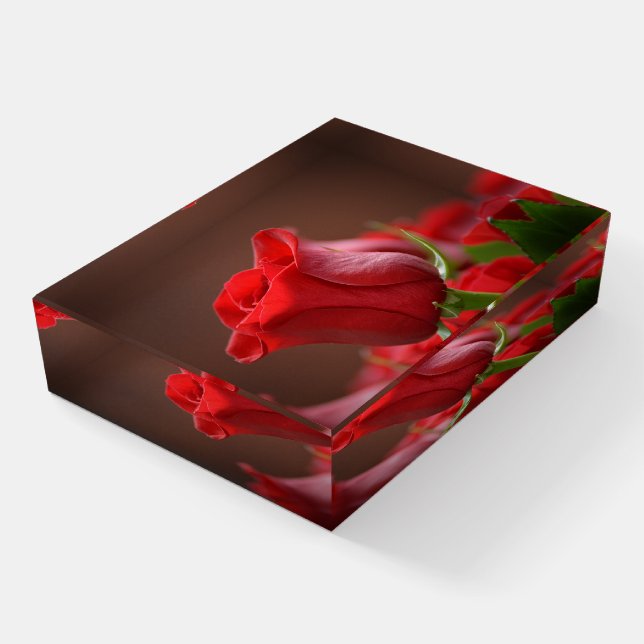 Beautiful Red Rose Paperweight (Angled)