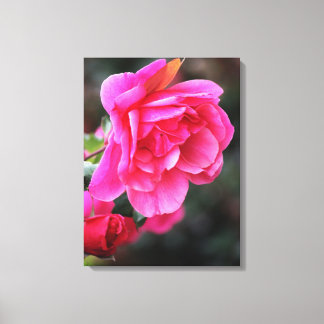 Beautiful Red Rose Photo Canvas Print