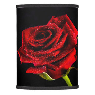Beautiful red rose photo lamp shade