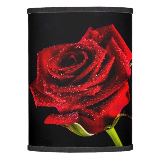 Beautiful red rose photo lamp shade (Front)