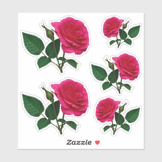 Beautiful red rose photo Transparent CC1145 Sticker (Sheet)