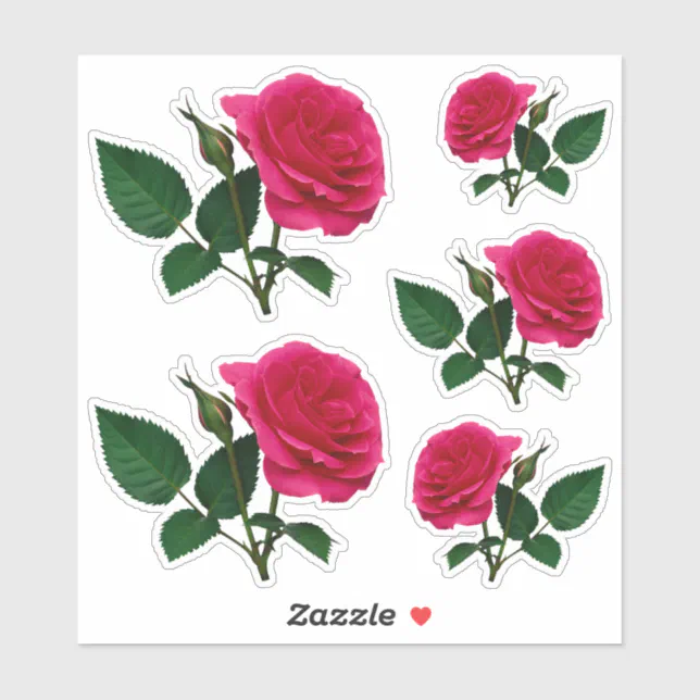 Beautiful red rose photo Transparent CC1145 Sticker | Zazzle