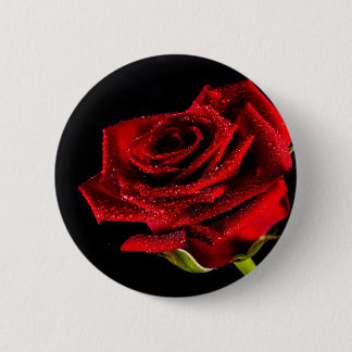 Beautiful red rose pinback button