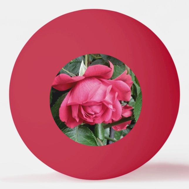 Beautiful Red Rose Ping Pong Ball (Front)