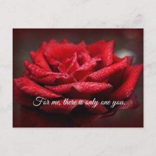 Beautiful Red Rose Postcard Customizable Message