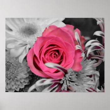 Beautiful Red Rose Poster by GiftStation at Zazzle