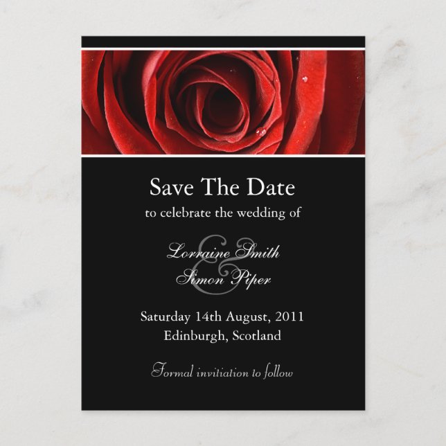 Beautiful Red Rose Save The Date Postcard (Front)