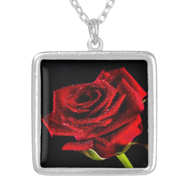 Beautiful red rose silver plated necklace (Front)