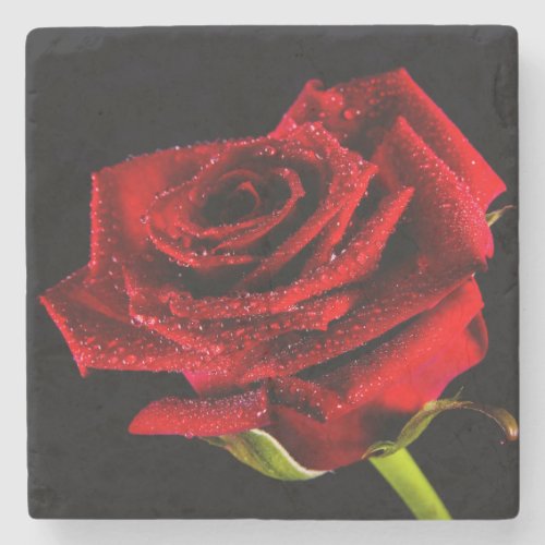 Beautiful red rose stone coaster
