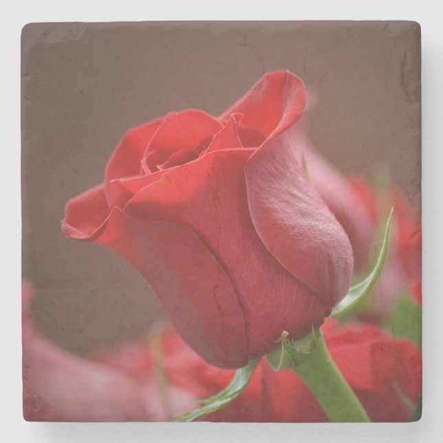 Beautiful Red Rose Stone Coaster (Front)
