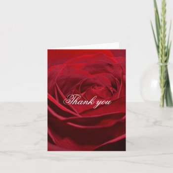 Beautiful Red Rose Thank You by peacefuldreams at Zazzle