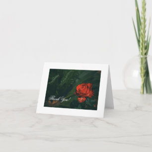 Beautiful Red Rose Thank You Card
