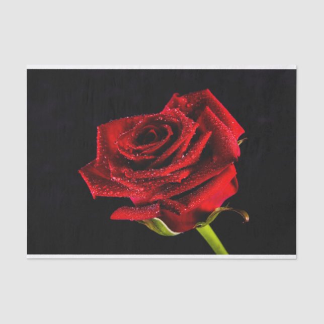 Beautiful red rose tissue paper (Front)