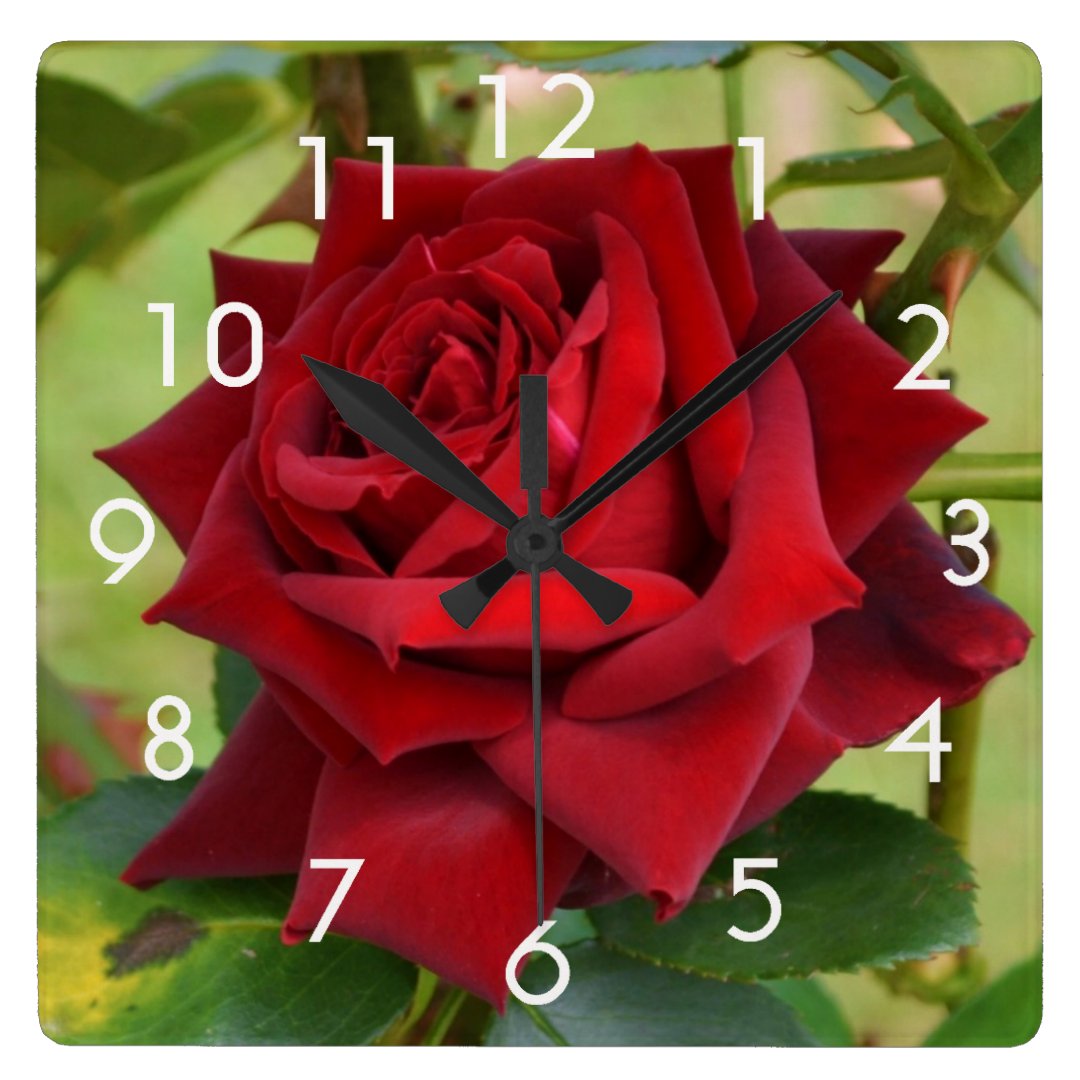Beautiful Red Rose Wall Clock Zazzle