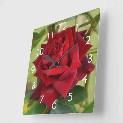 Beautiful Red Rose Wall Clock | Zazzle