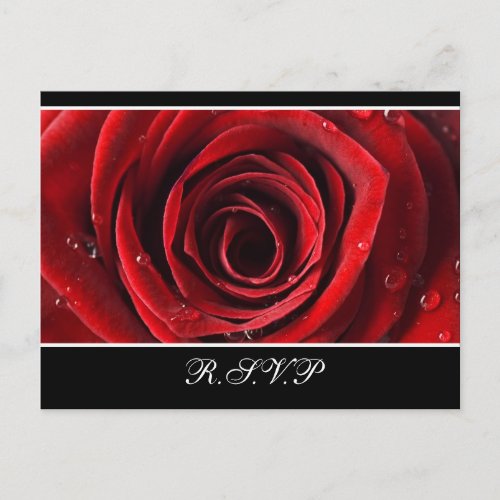 Beautiful Red Rose Wedding RSVP _Black Invitation Postcard